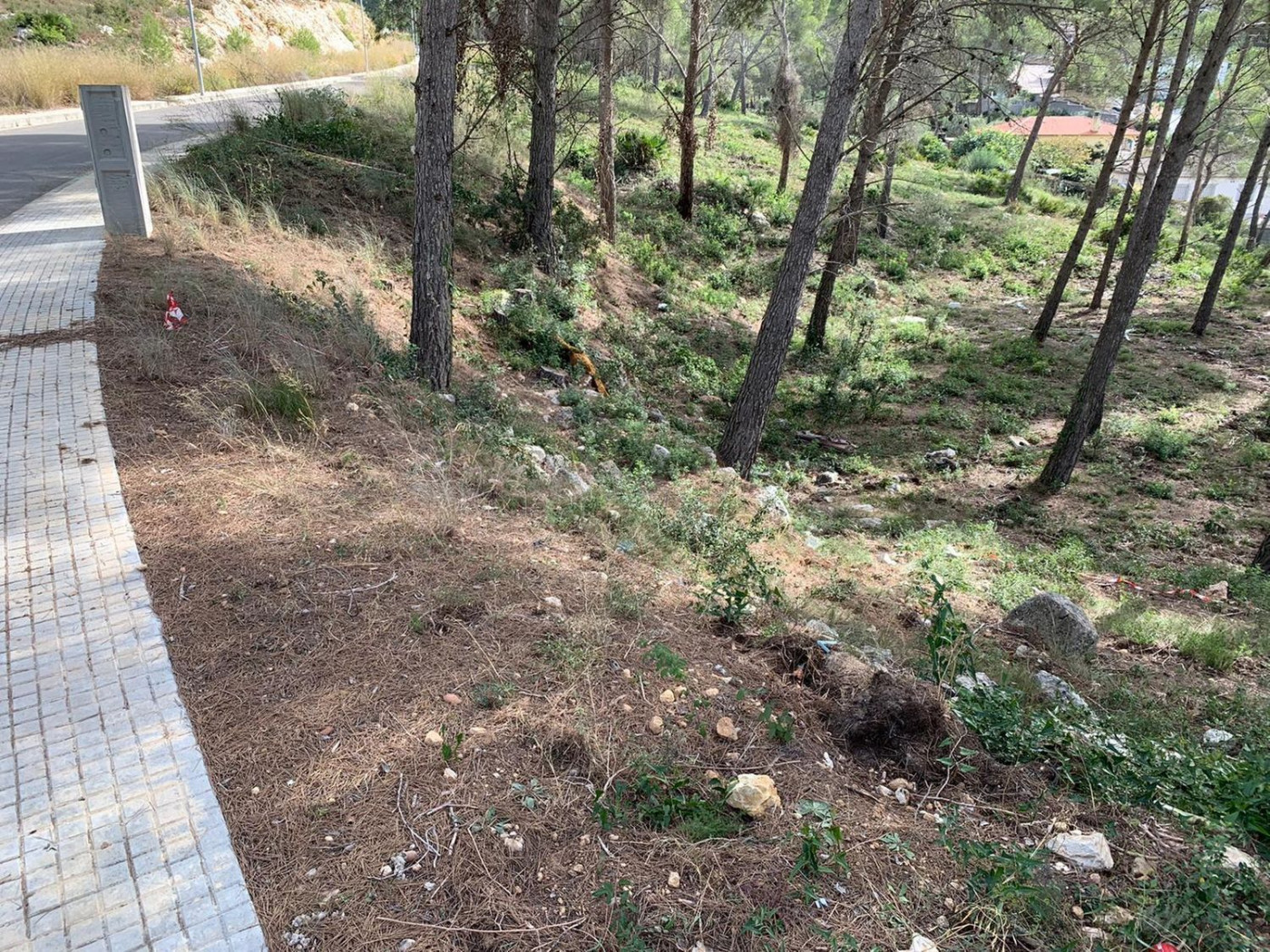 ¡OPORTUNIDAD! ¡ULTIMA PARCELA DISPONIBLE CON VISTAS AL MAR! - foto 3