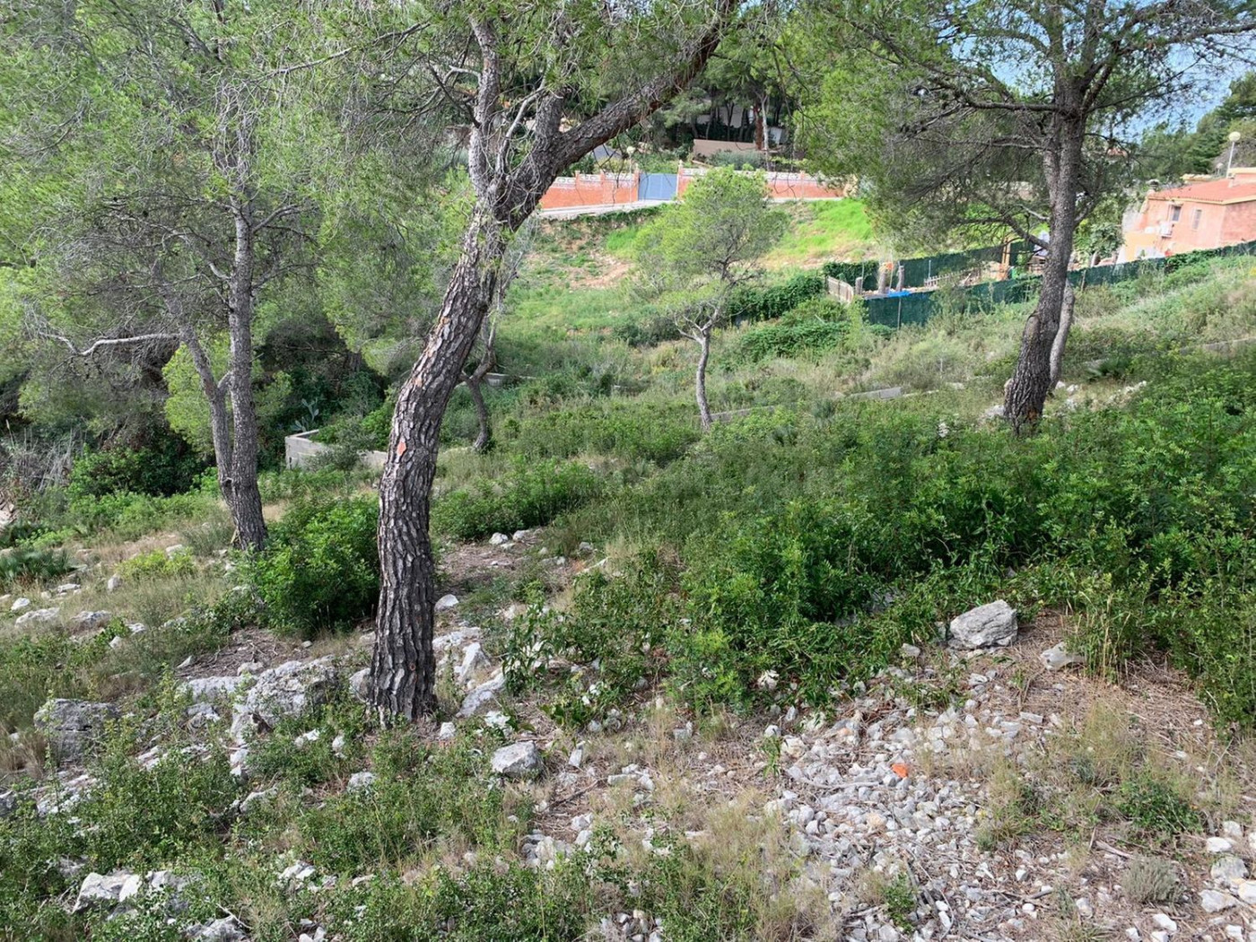 ¡OPORTUNIDAD! ¡ULTIMA PARCELA DISPONIBLE CON VISTAS AL MAR! - foto 5