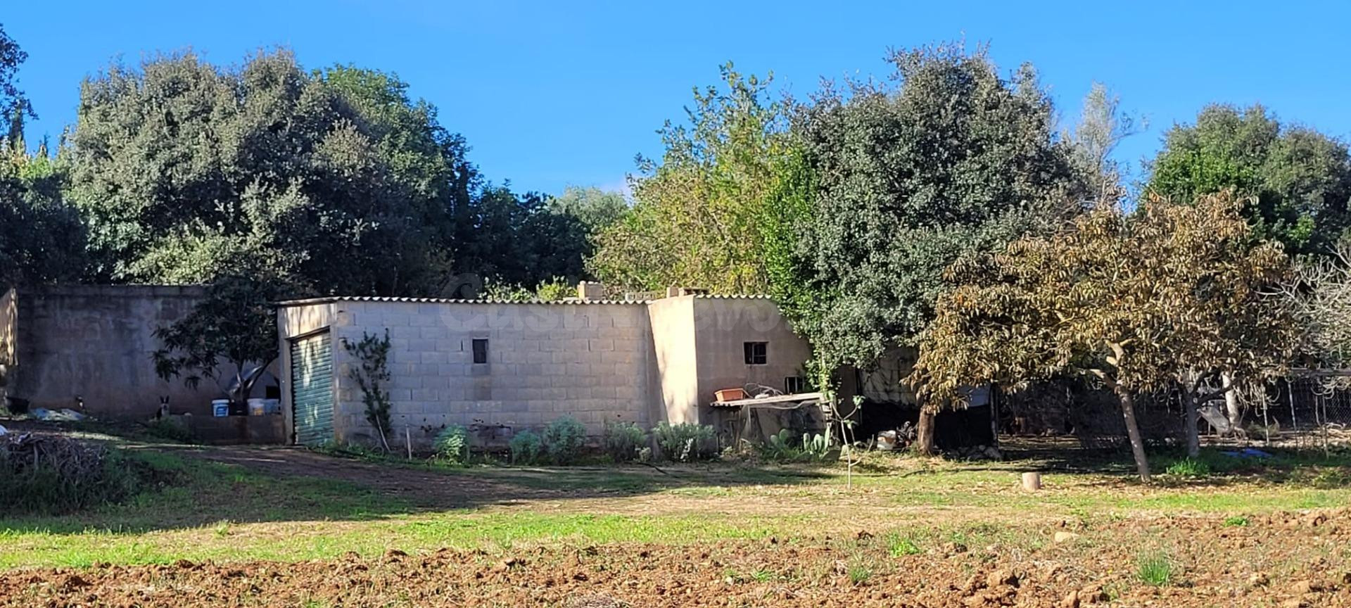 Terreno de 17.600 m2 en Manacor  ¡Construye la casa de tus sueños!