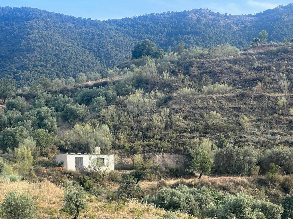 Paraje de los castillos - Restabal