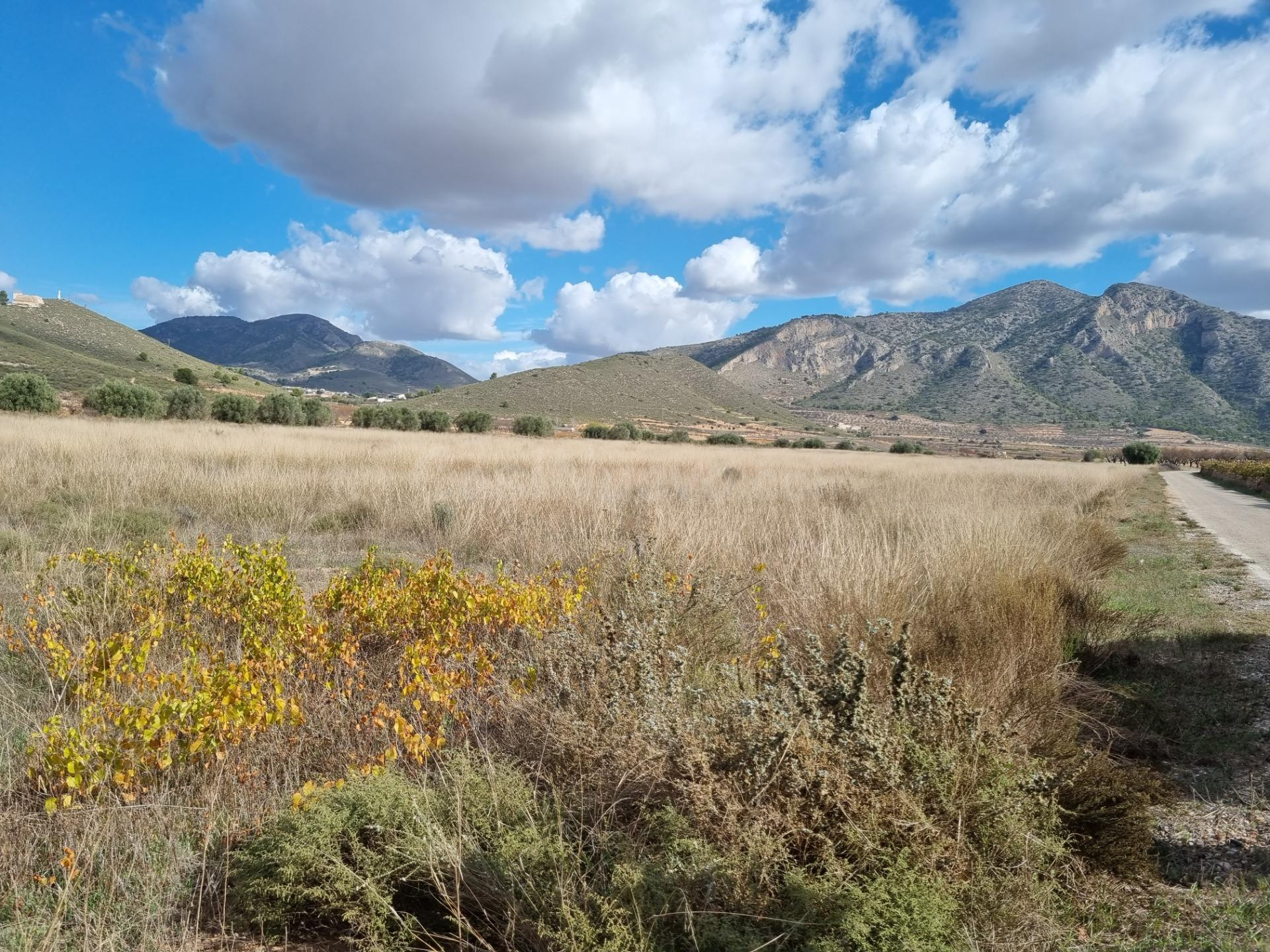 SE VENDE PARCELA EN CAÑADA DE LA LEÑA (ALGUEÑA) ALICANTE