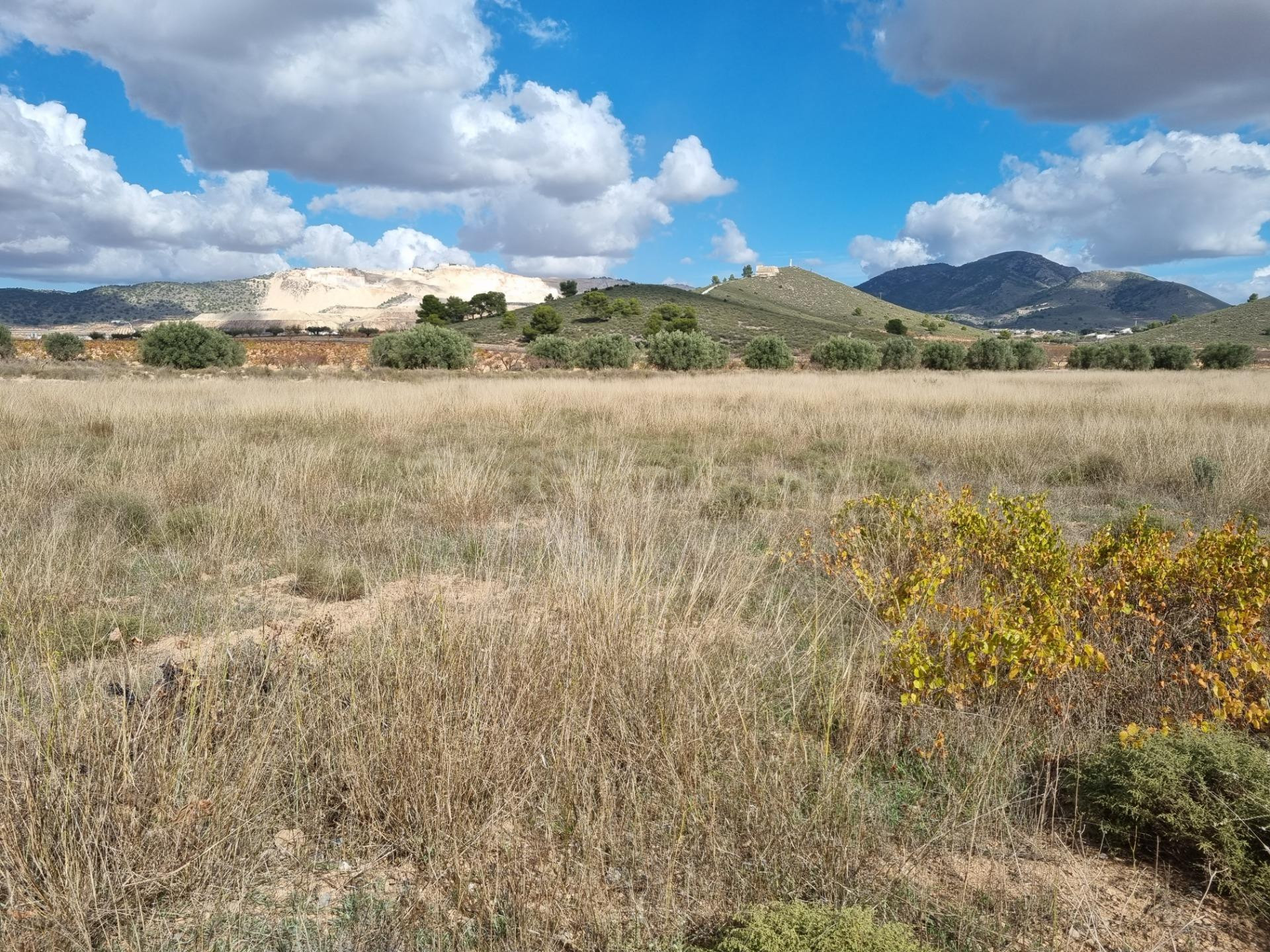 SE VENDE PARCELA EN CAÑADA DE LA LEÑA (ALGUEÑA) ALICANTE - foto 3
