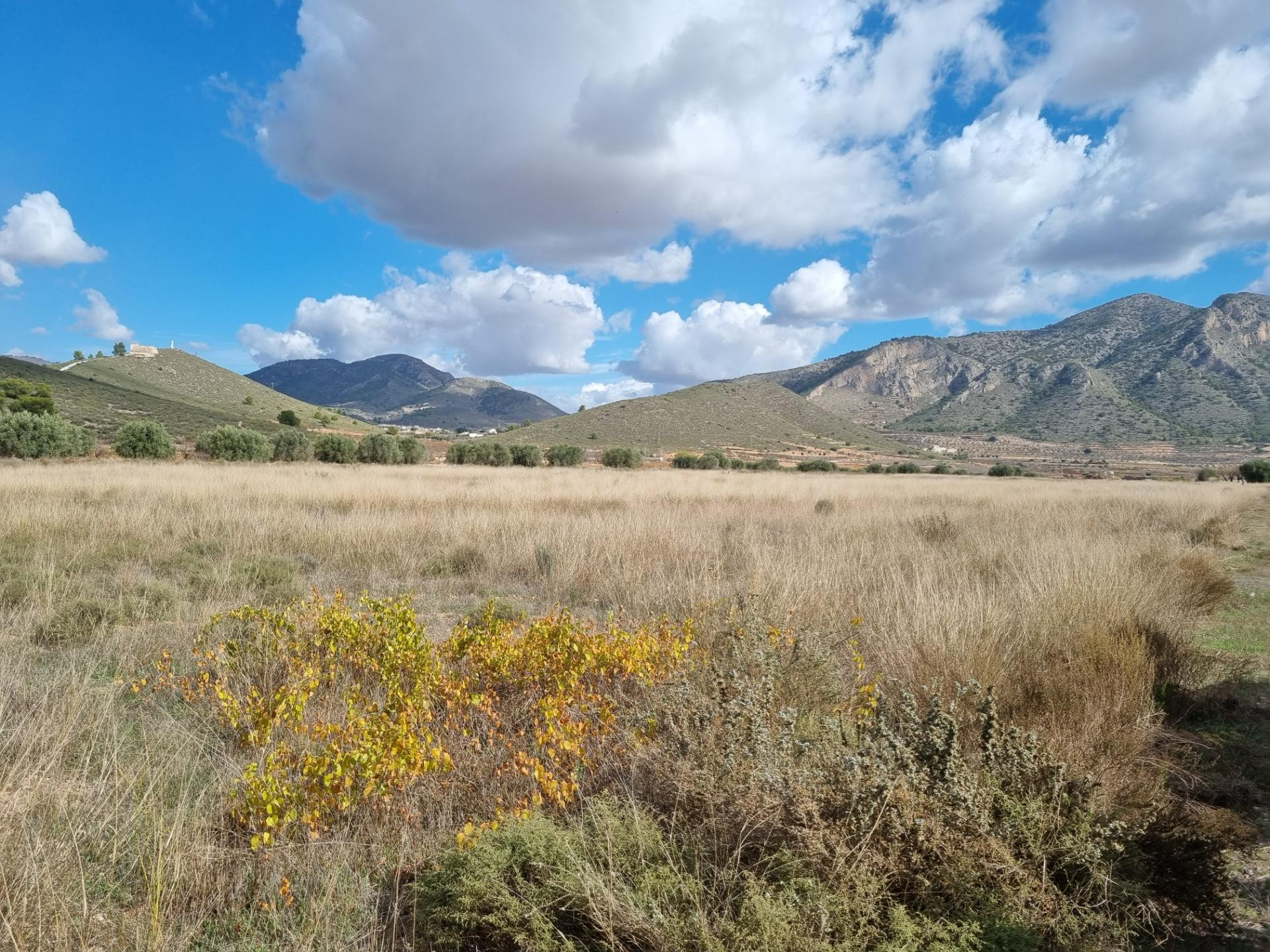 SE VENDE PARCELA EN CAÑADA DE LA LEÑA (ALGUEÑA) ALICANTE - foto 4