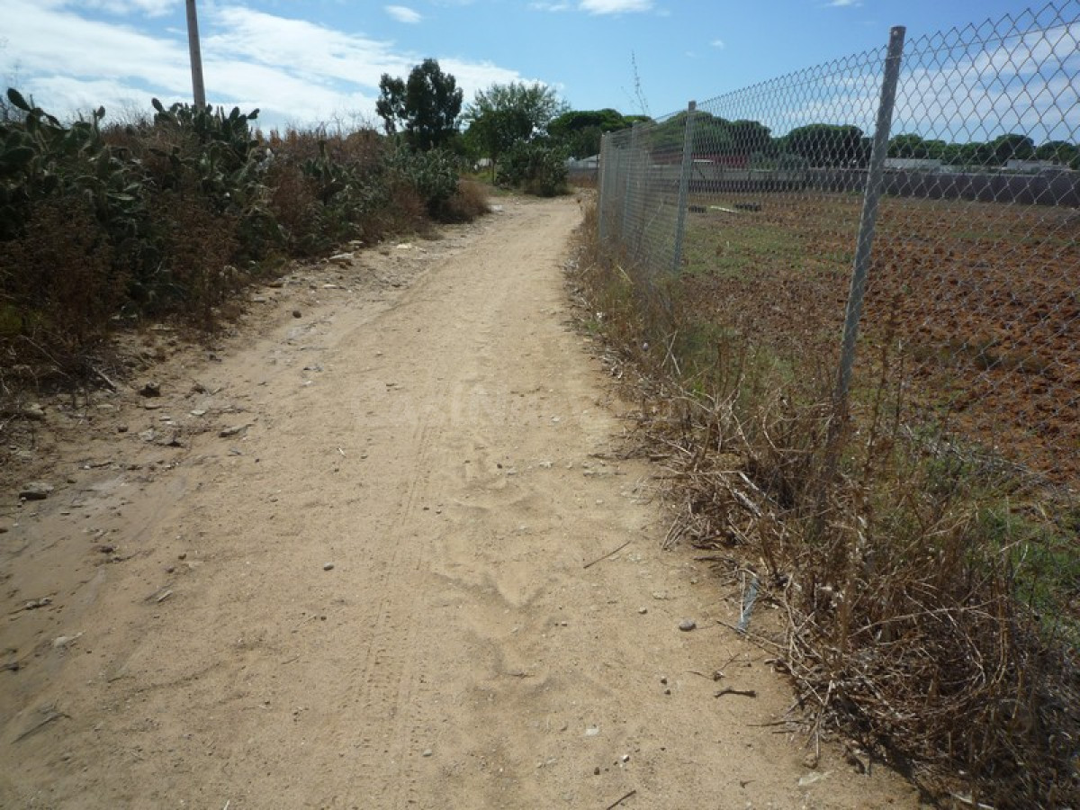 Terreno en el Pinar de la Villa cercano a la Ermita Virgen de Regla....