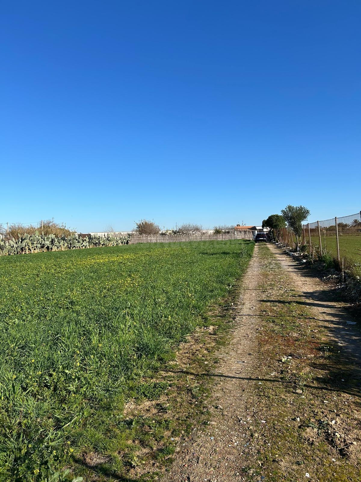 PARA LOS AMANTES DEL CAMPO Y NATURALEZA