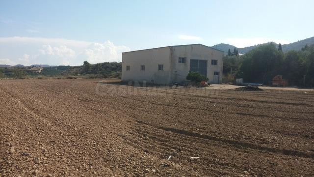 TERRENO RUSTICO EN ORIHUELA TOTALMENTE VALLADO CON NAVE