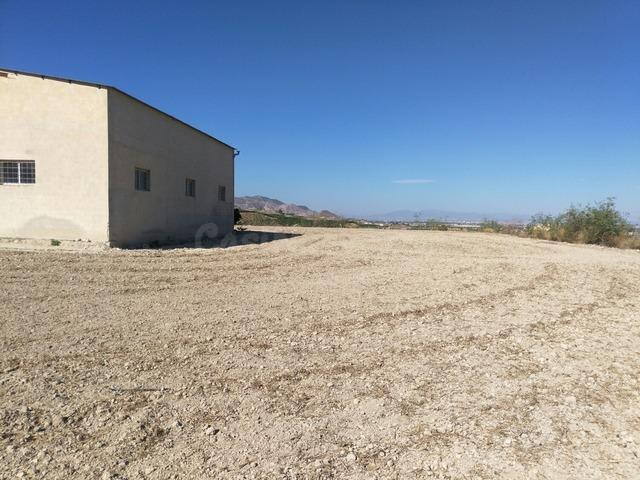 TERRENO RUSTICO EN ORIHUELA TOTALMENTE VALLADO CON NAVE - foto 2