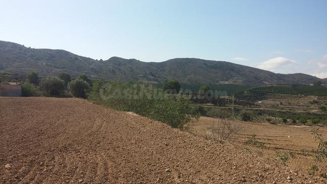 TERRENO RUSTICO EN ORIHUELA TOTALMENTE VALLADO CON NAVE - foto 3