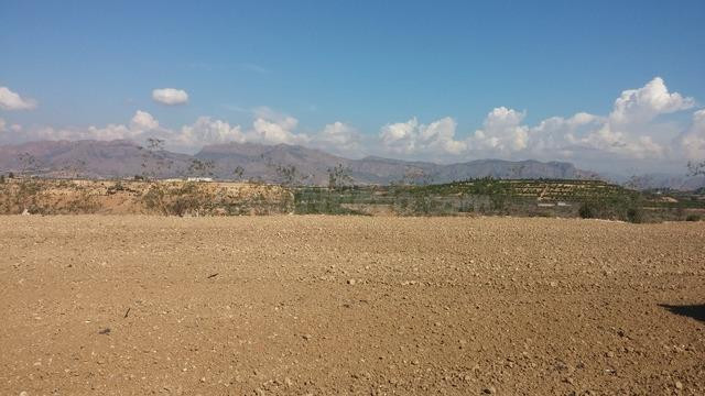 TERRENO RUSTICO EN ORIHUELA TOTALMENTE VALLADO CON NAVE - foto 4