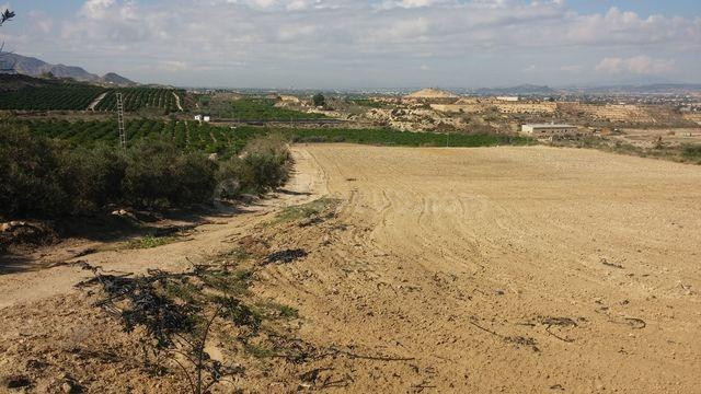 TERRENO RUSTICO EN ORIHUELA TOTALMENTE VALLADO CON NAVE - foto 5