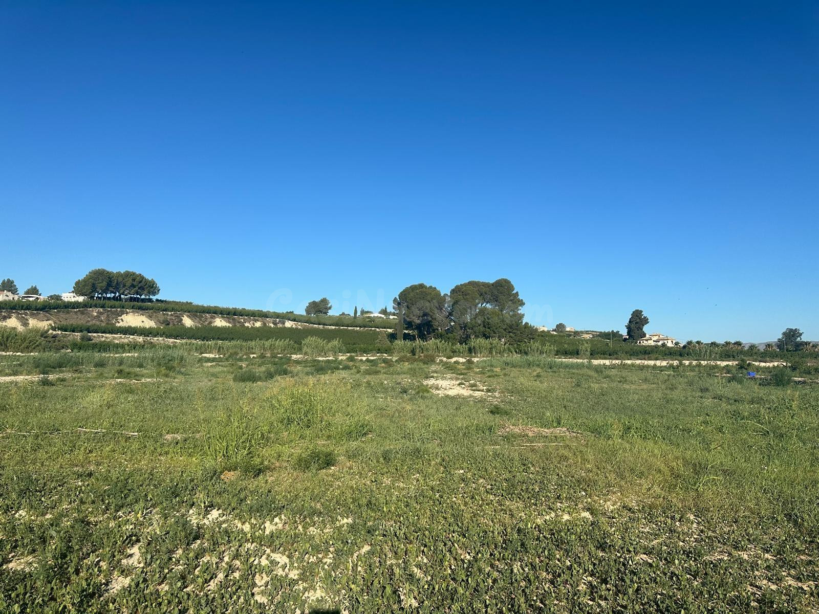 PARCELA 10 TAHULLAS CON AGUA ACEQUIA DEL HORNO