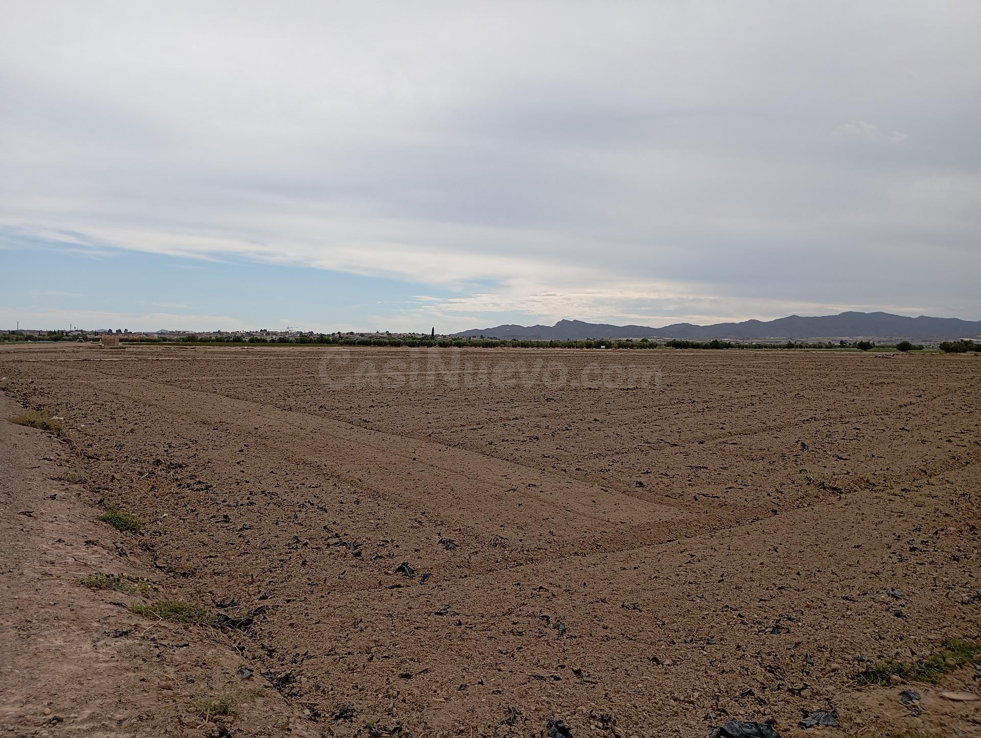 Terreno Rural en el Paretón