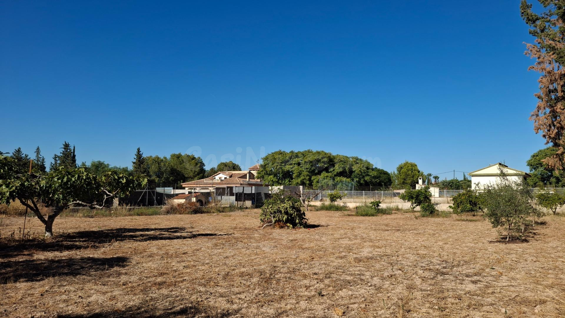 PARCELA RÚSTICA PARAJE TORREGUIL