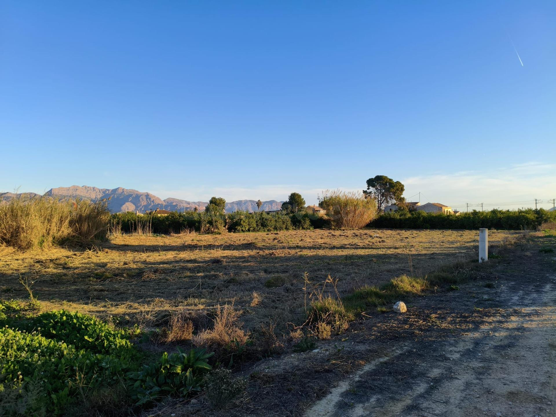 2.255 m2  Terreno en Alquerías - Oportunidad Única