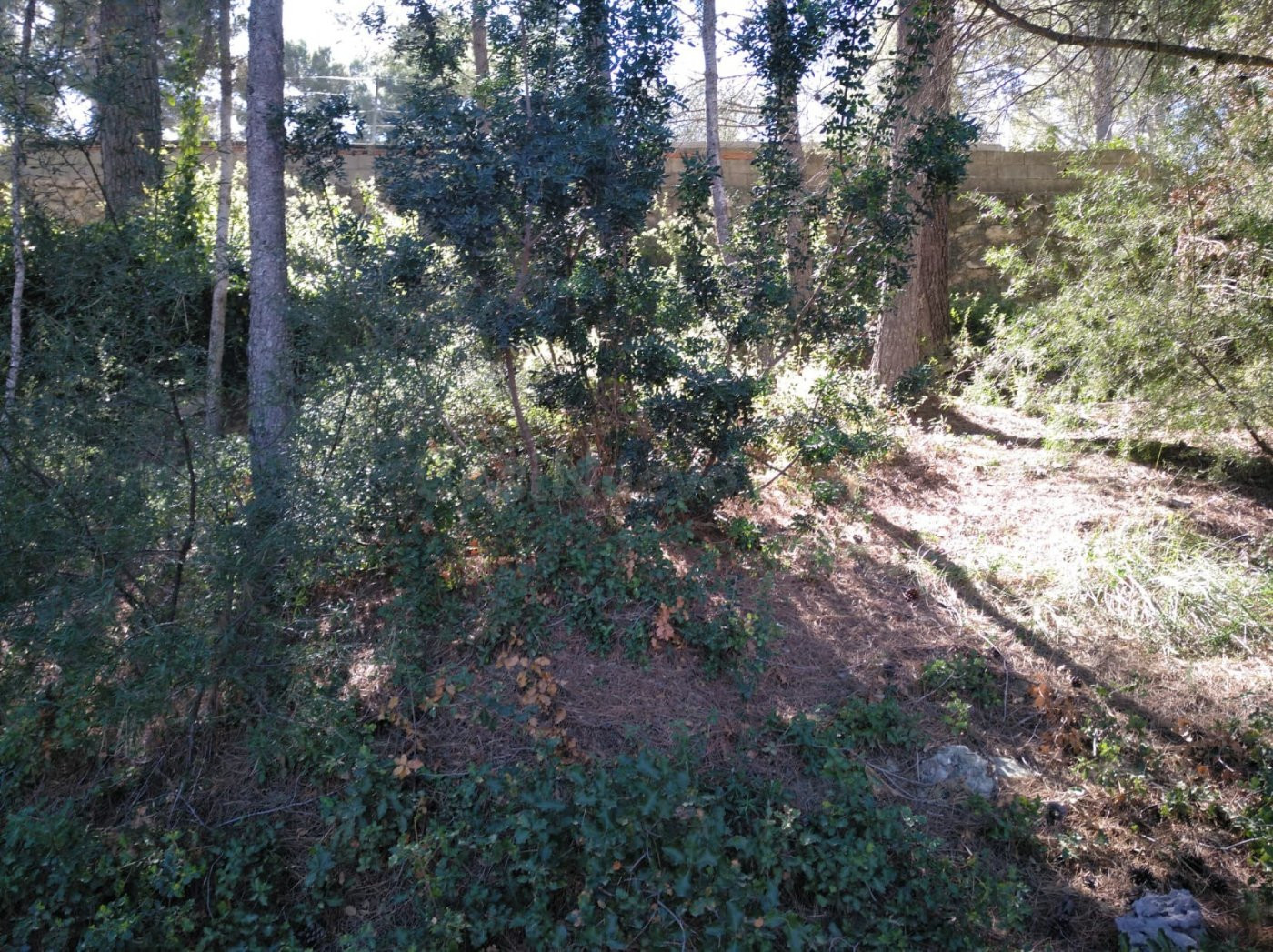 ***PARCELA SUELO URBANO EN GODELLETA***