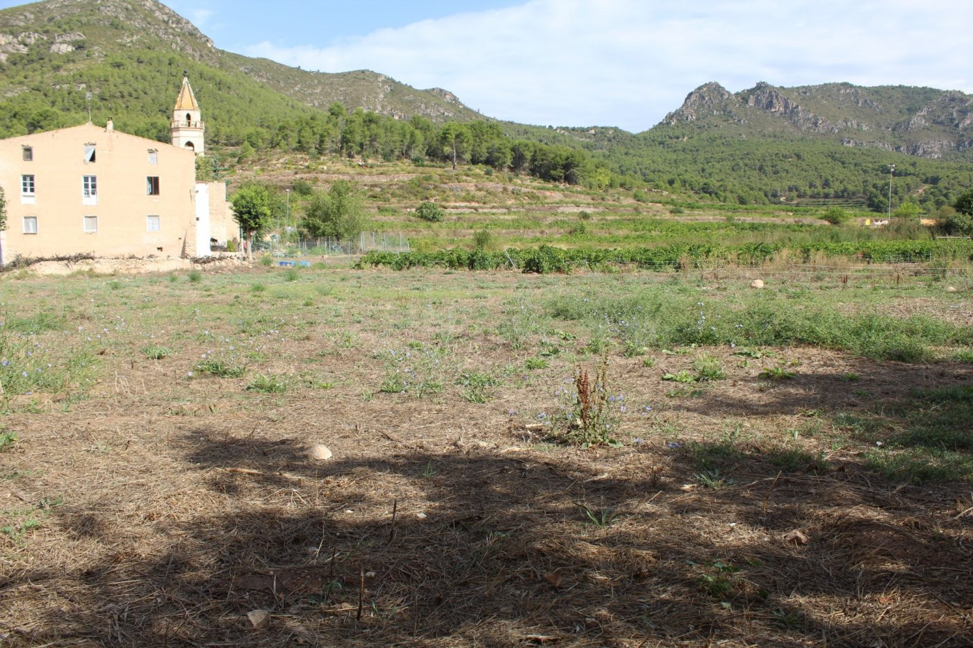 Gran Parcela de 1.800m2 para 8 casas adosadas