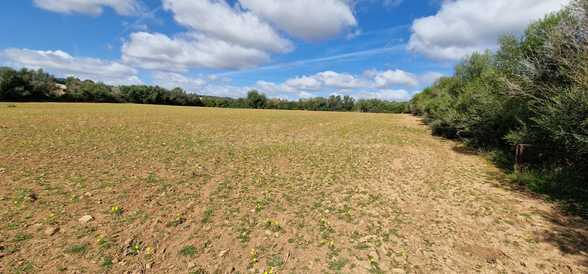 FINCA RUSTICA EN VENTA EN MANACOR