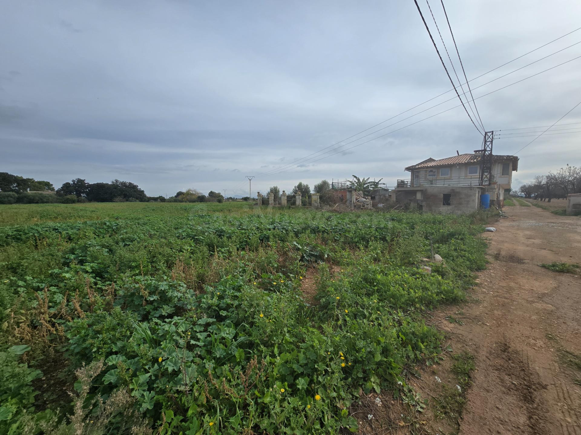 Encantadora Finca Rústica en Búger con agua propia y luz
