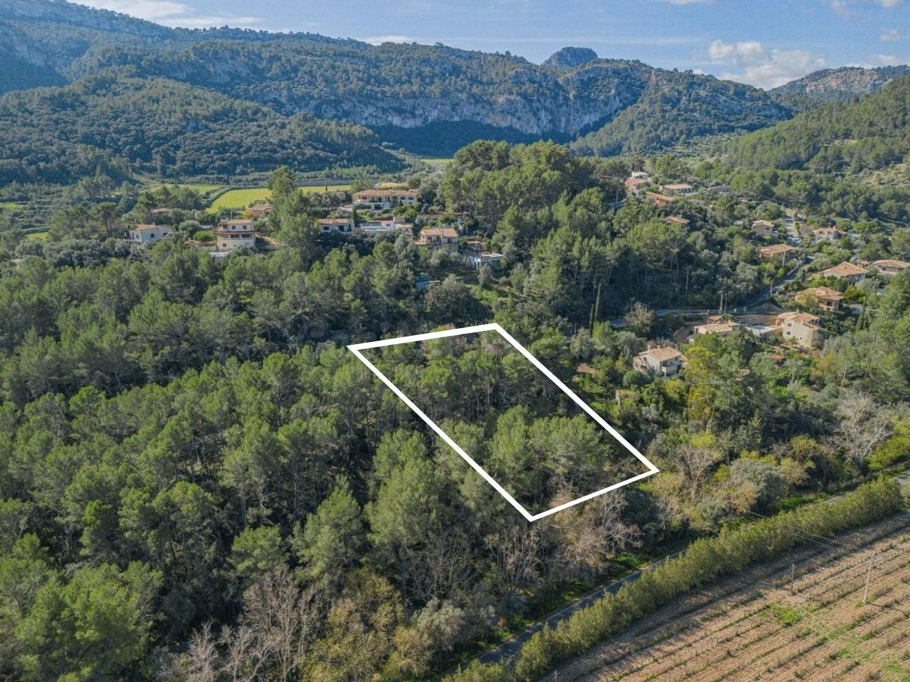 Terreno con proyecto en Son Serralta