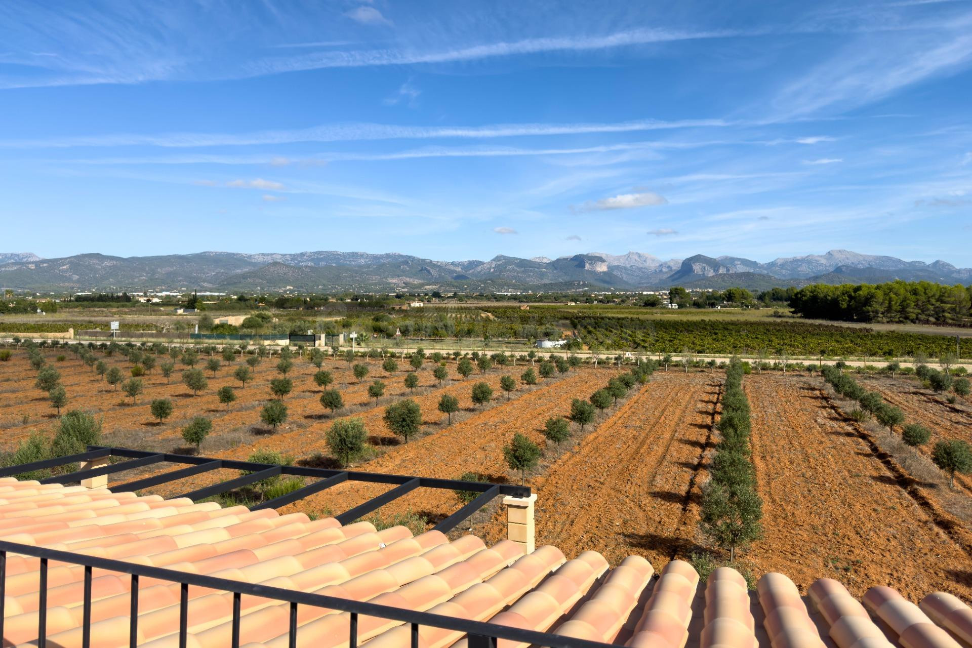 Arquitectura contemporánea en enclave rural con vistas a la  - foto 3