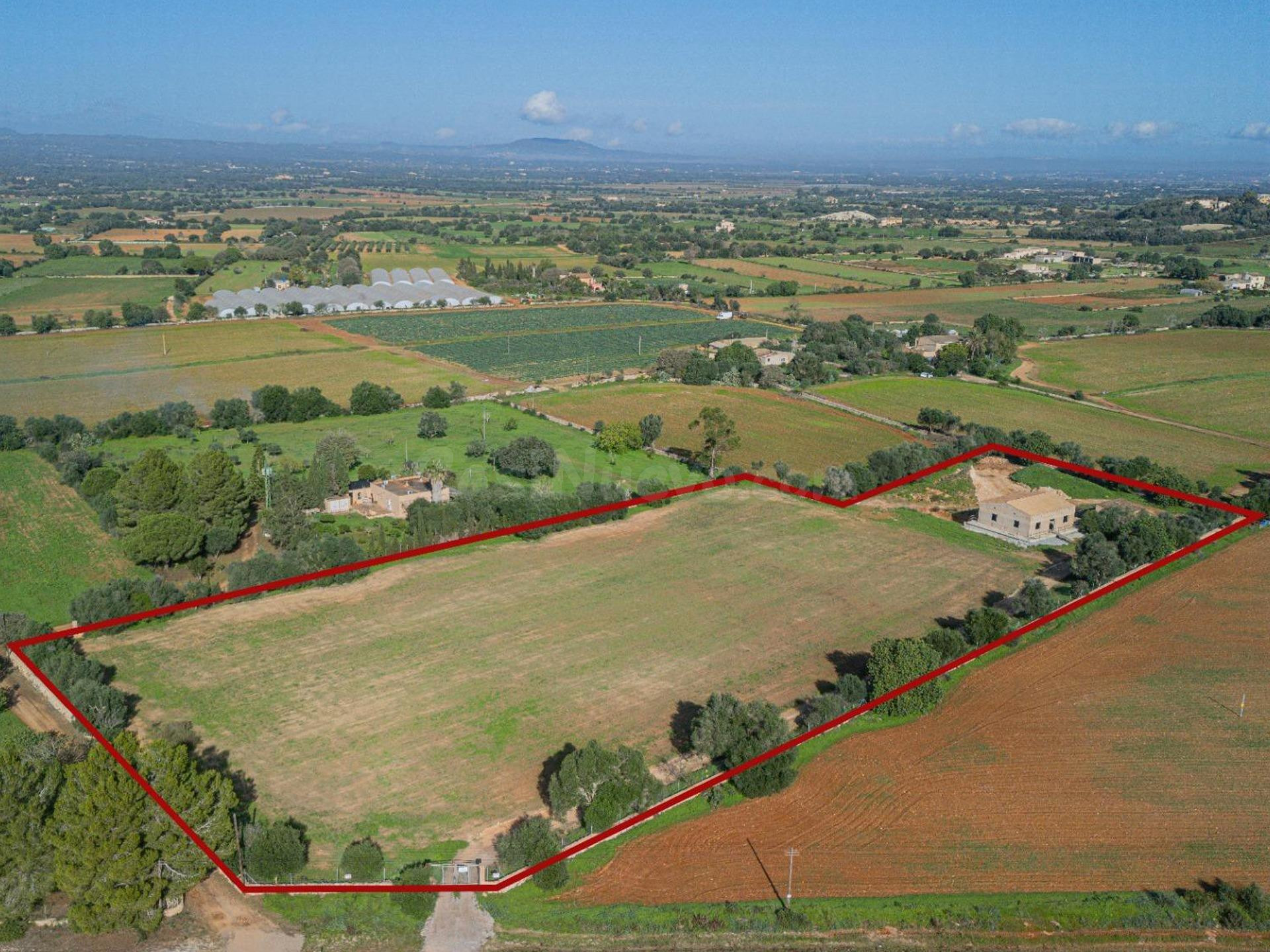 Finca rústica en construcción y proyecto en vigor en Felanitx