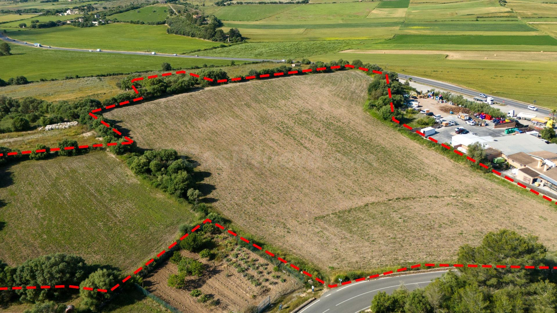 Tres parcelas rústicas en venta en Ariany, Mallorca – 28.000 m2 con buena accesibilidad y elevación