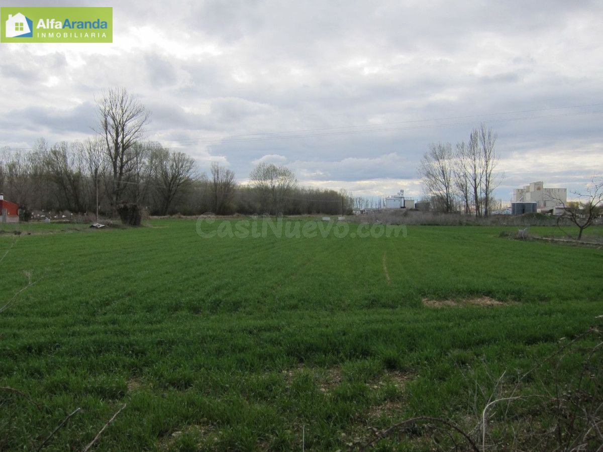 FINCA RUSTICA - foto 2