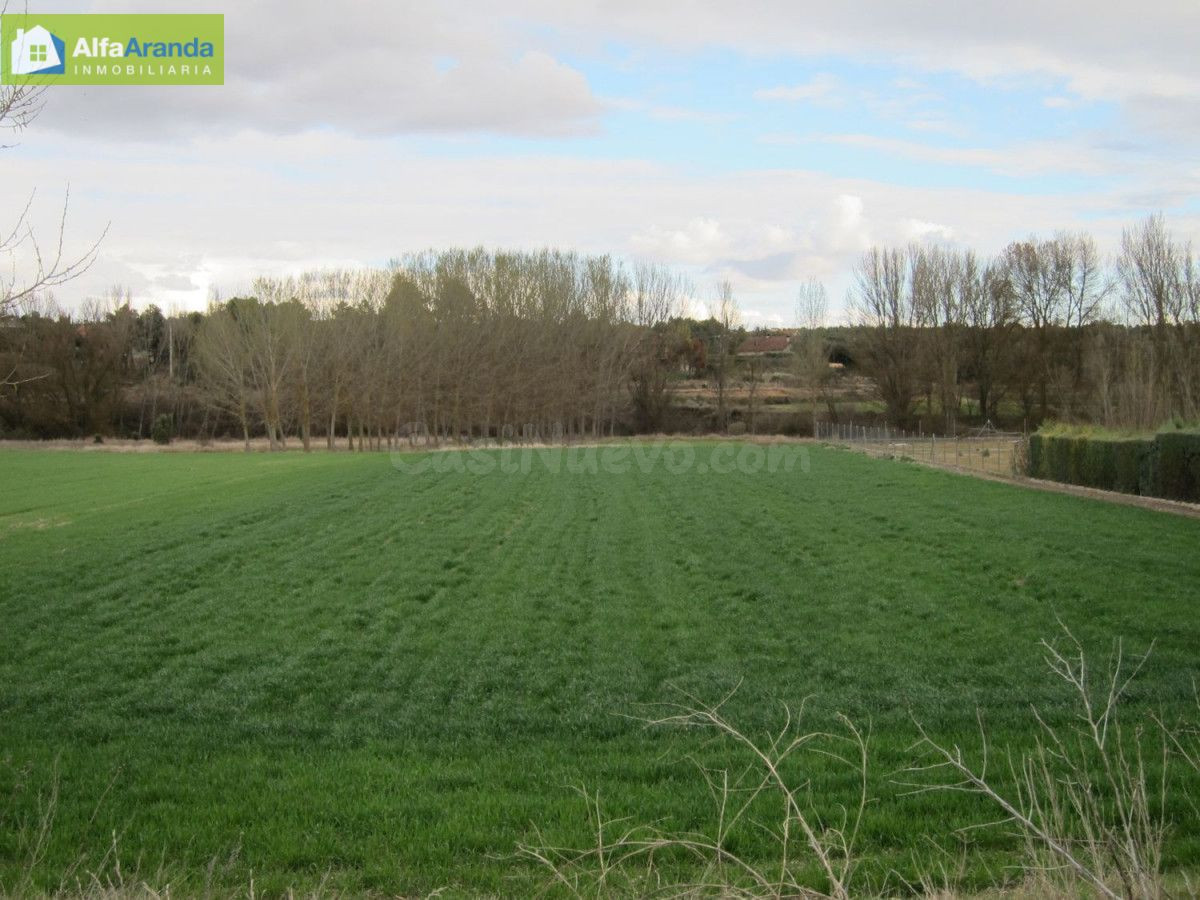 TERRENO RUSTICO