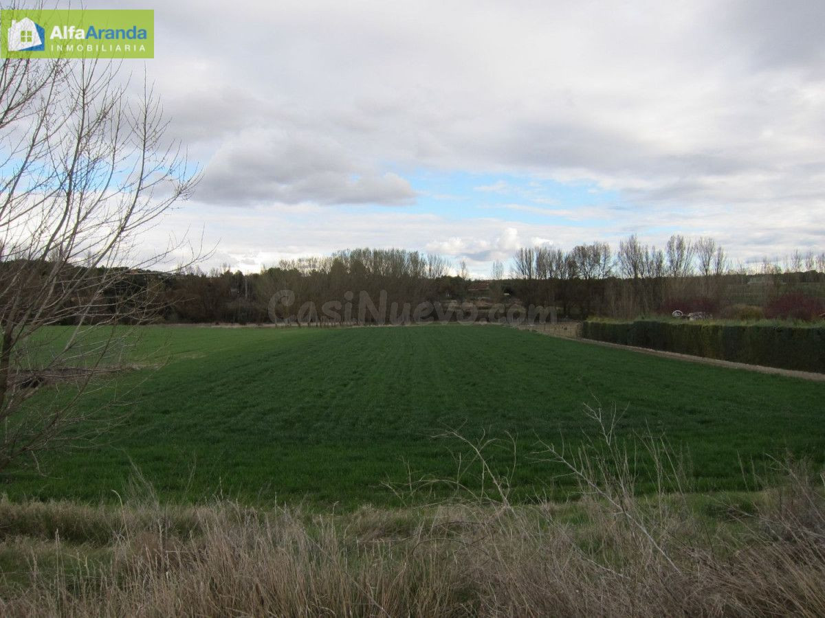 TERRENO RUSTICO - foto 2