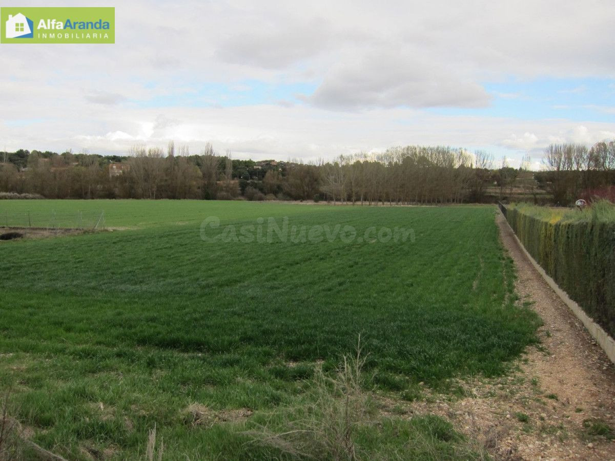 TERRENO RUSTICO - foto 3