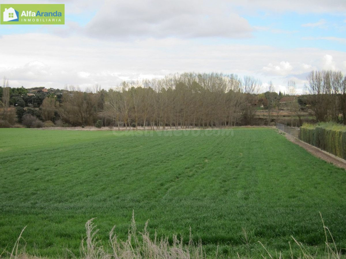 TERRENO RUSTICO - foto 4