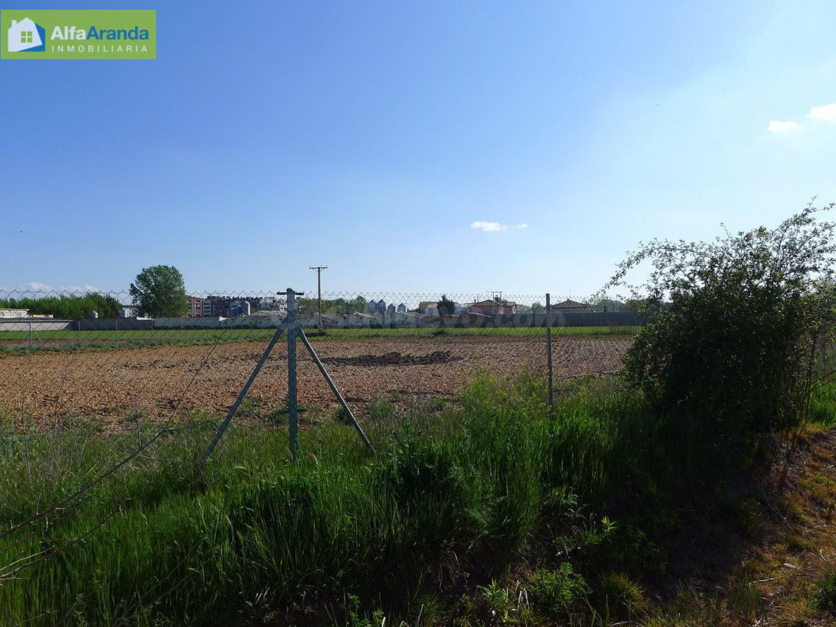 TERRENO RUSTICO