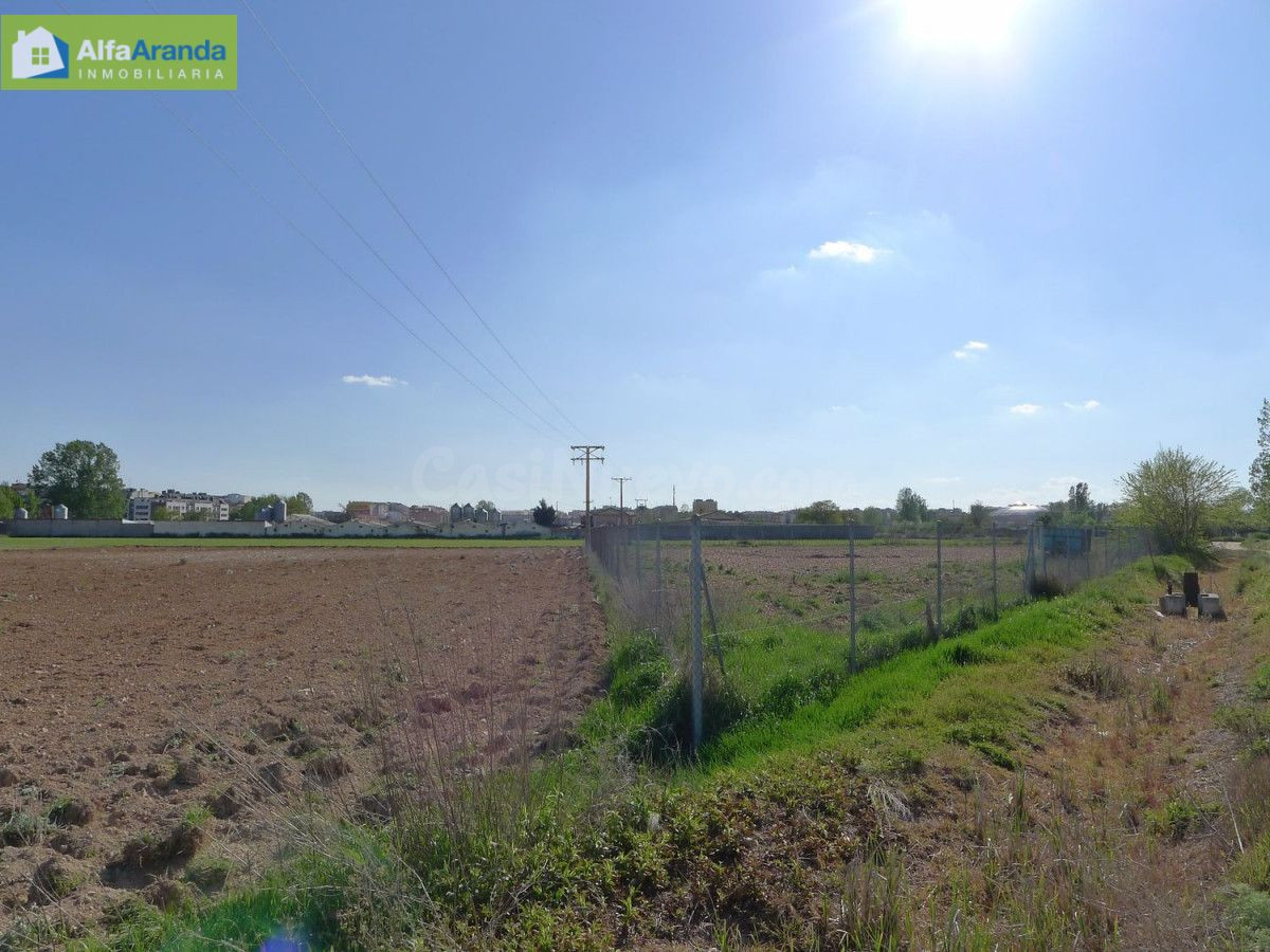 TERRENO RUSTICO - foto 2