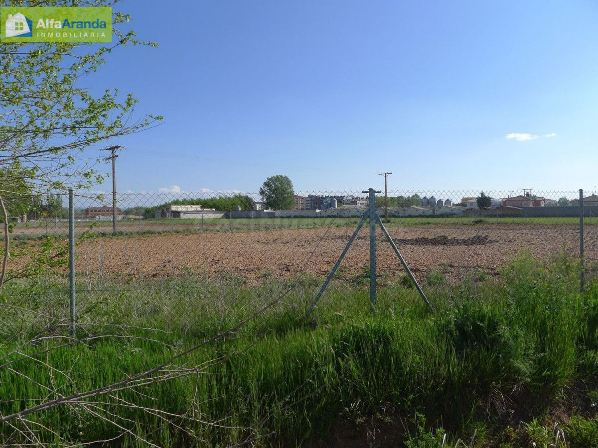 TERRENO RUSTICO - foto 3
