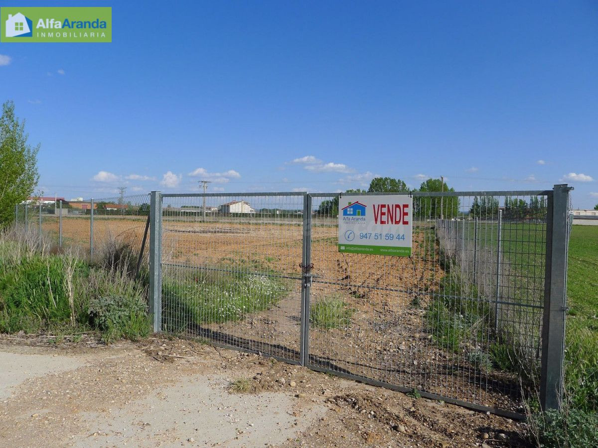 TERRENO RUSTICO - foto 4