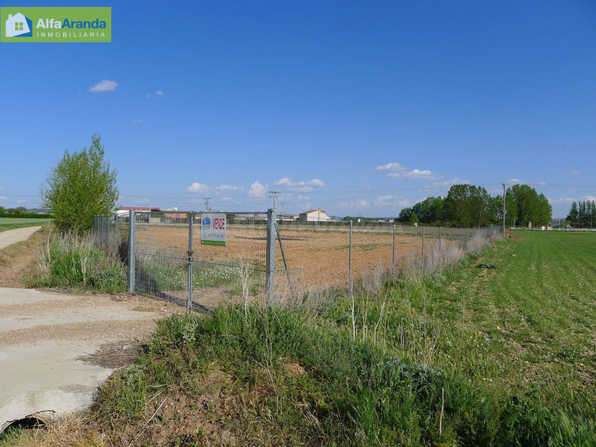 TERRENO RUSTICO - foto 5