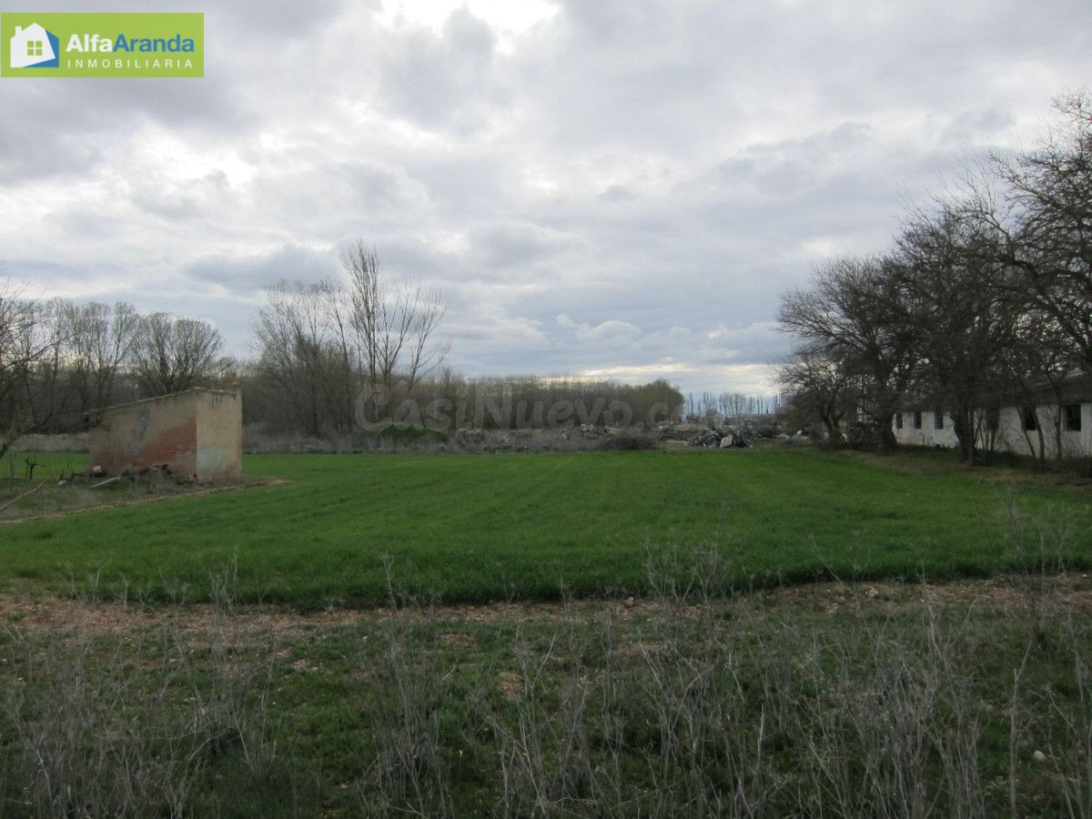 TERRENO RUSTICO - foto 3