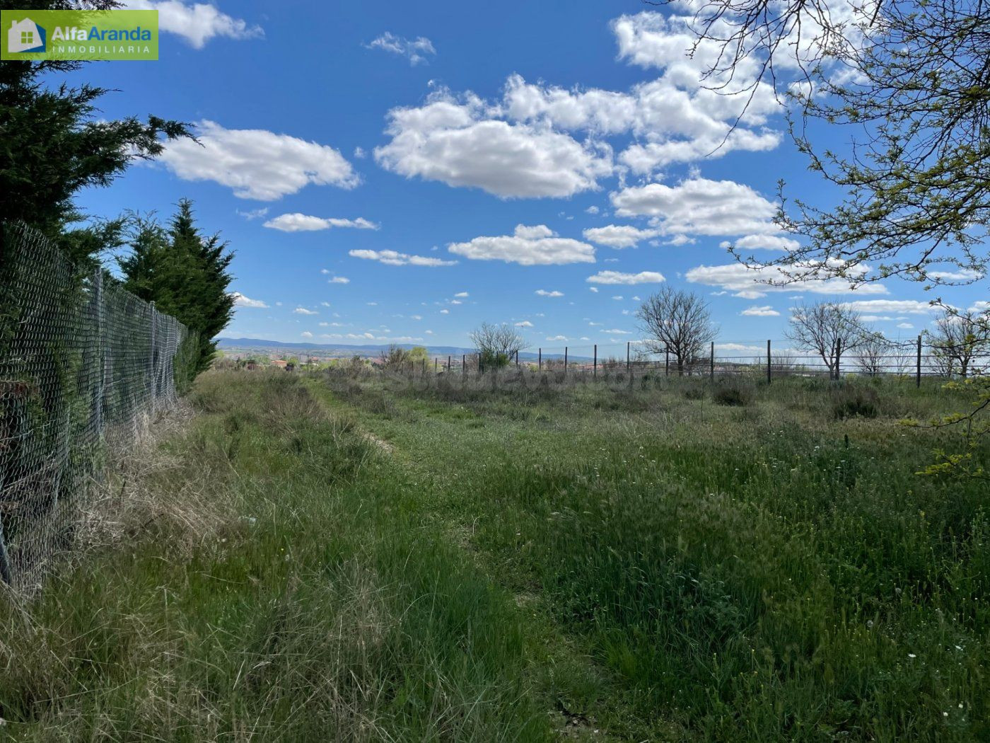 FINCA RUSTICA CERCANA A ARANDA - foto 2