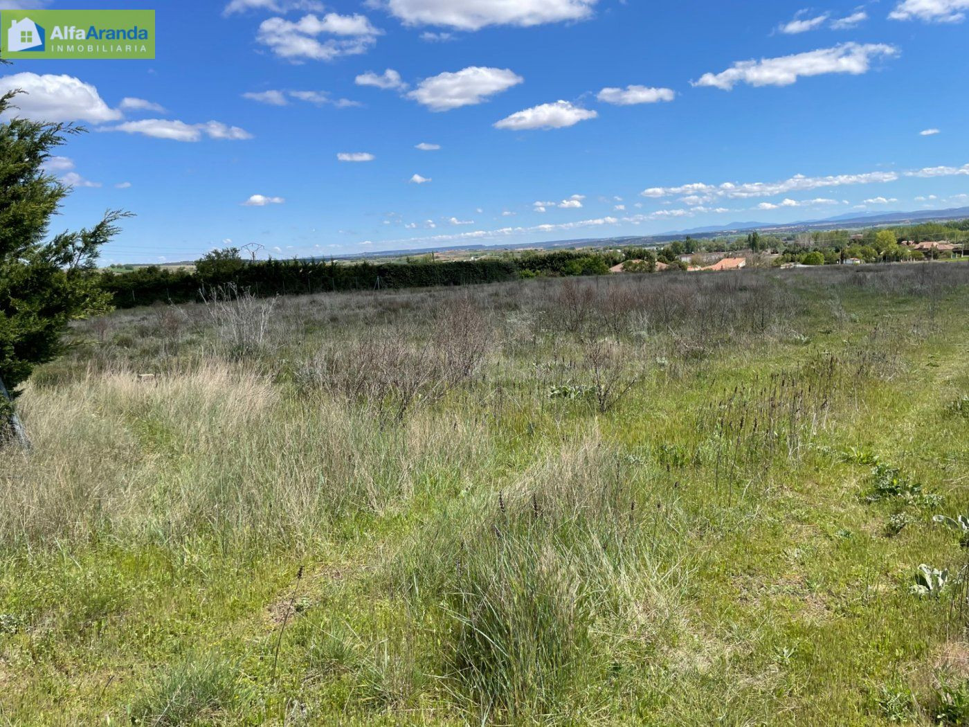 FINCA RUSTICA CERCANA A ARANDA - foto 3