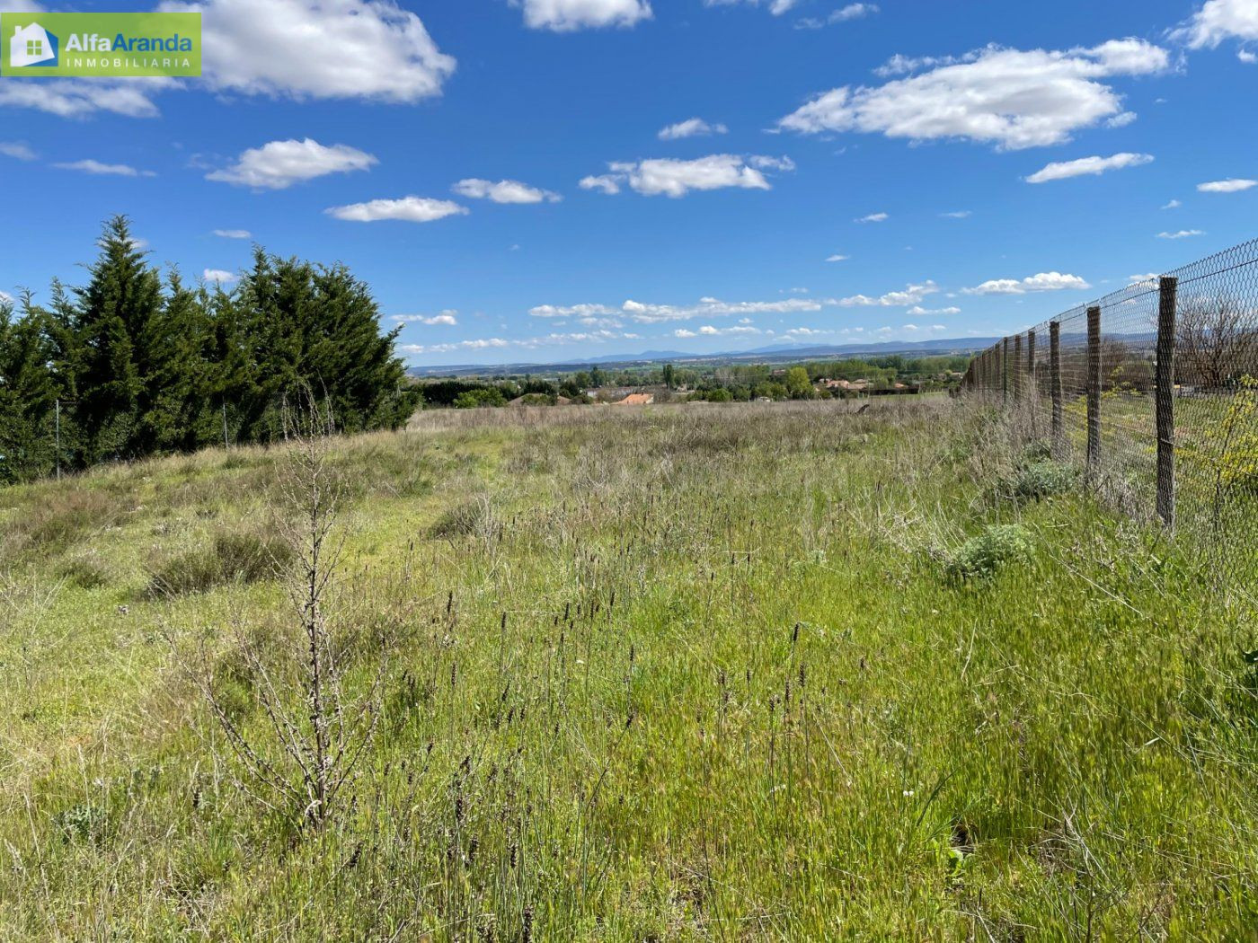 FINCA RUSTICA CERCANA A ARANDA - foto 5