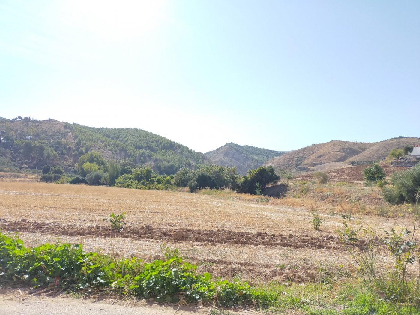 Parcela en venta en Antequera
