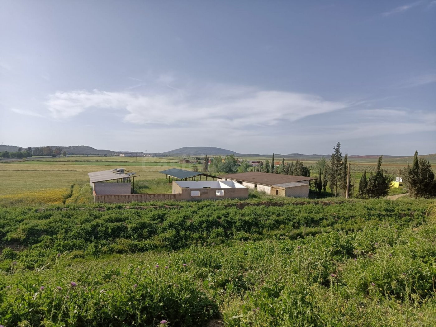 FINCA RUSTICA EN VENTA O ALQUILER CON OPCION A COMPRA CON POSIBILIDAD DE EDIFICAR CASA¡¡¡¡