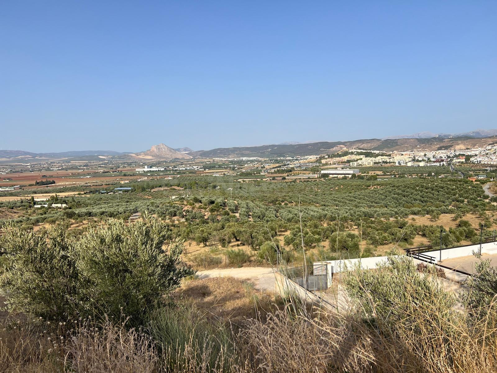 PARCELA EN VENTA EN ZONA URBANIZACION GOLF ANTEQUERA¡¡¡¡¡¡¡¡¡¡¡¡¡¡¡¡¡¡