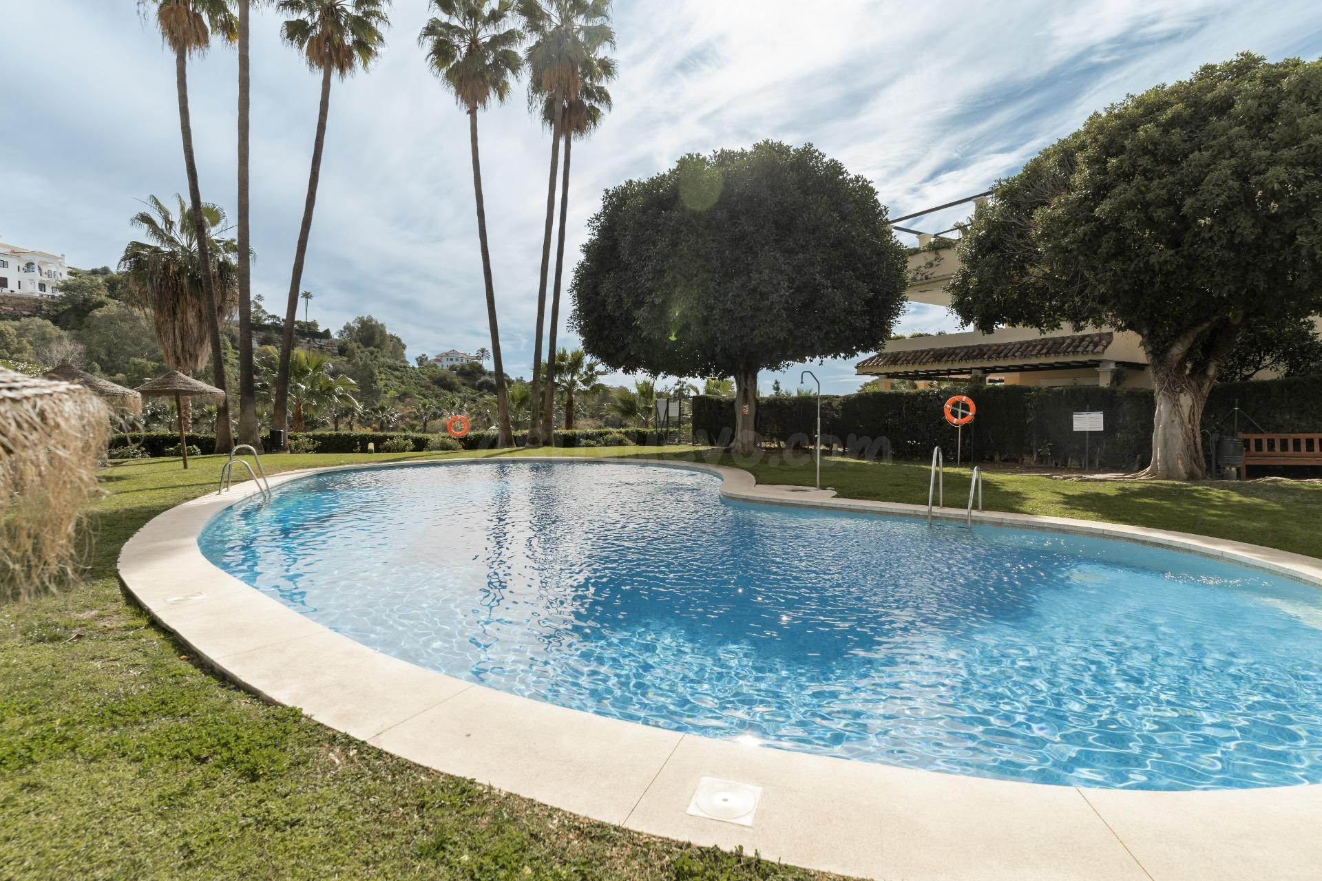 APARTAMENTO REFORMADO - MARBELLA