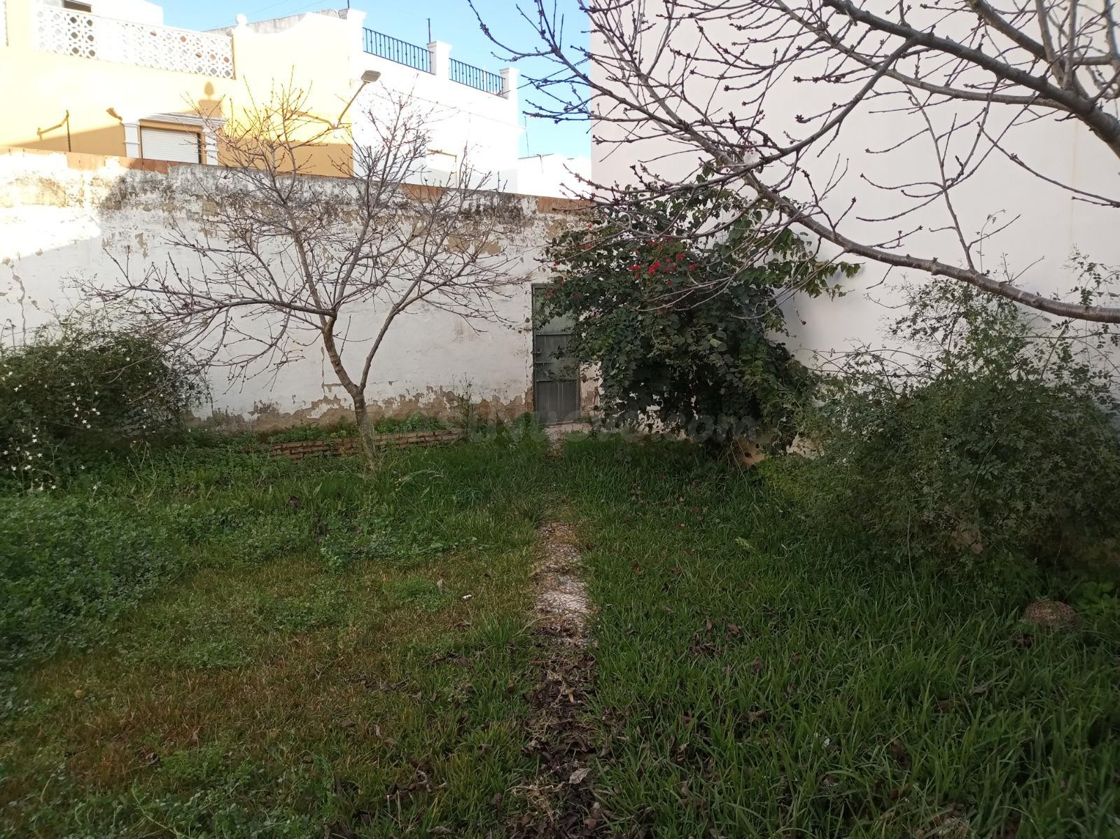MAGNIFICO SOLAR A LA VENTA EN CANTILLANA (SEVILLA)