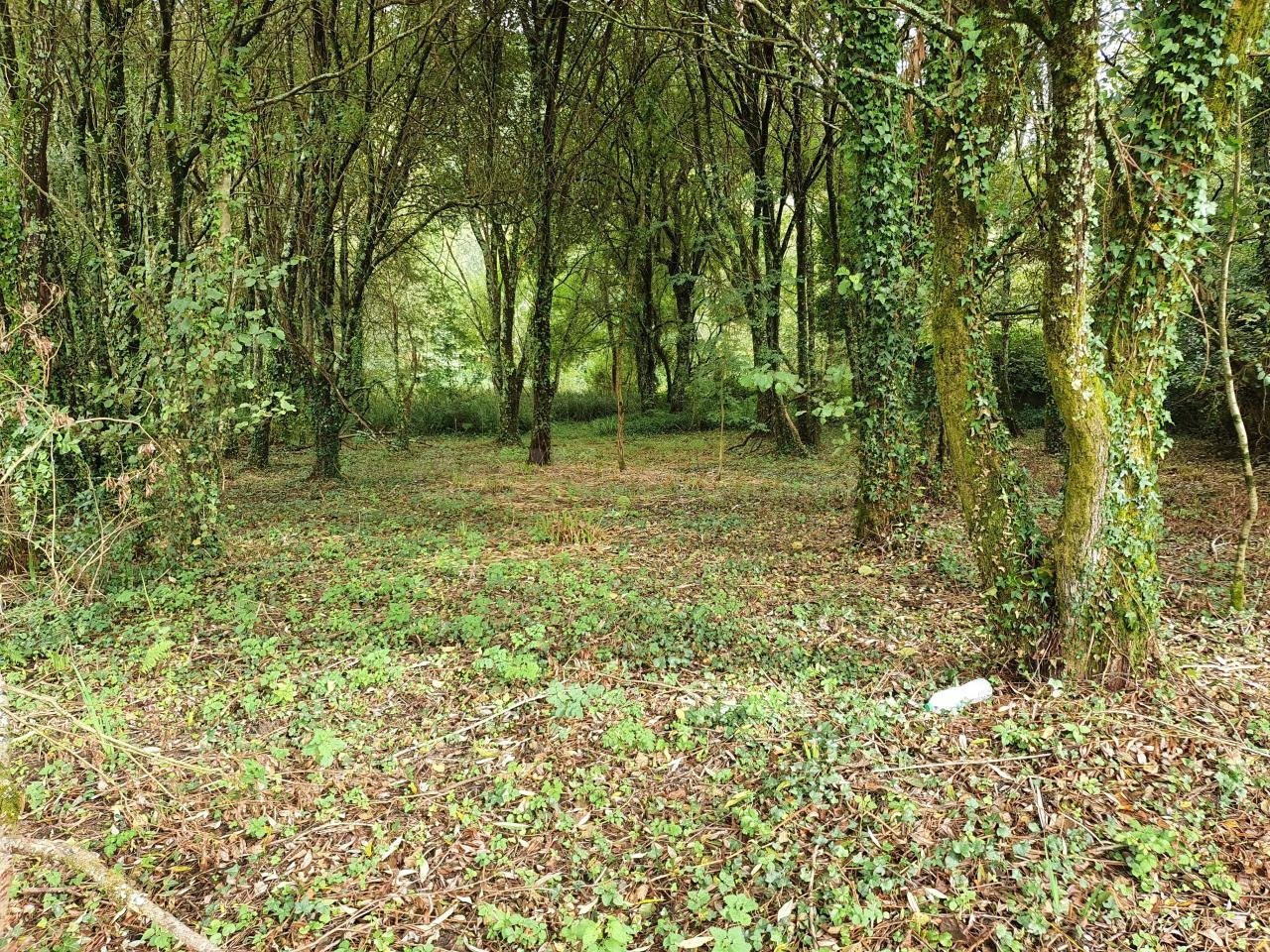 Finca en Presa del Rey, Narón - foto 5