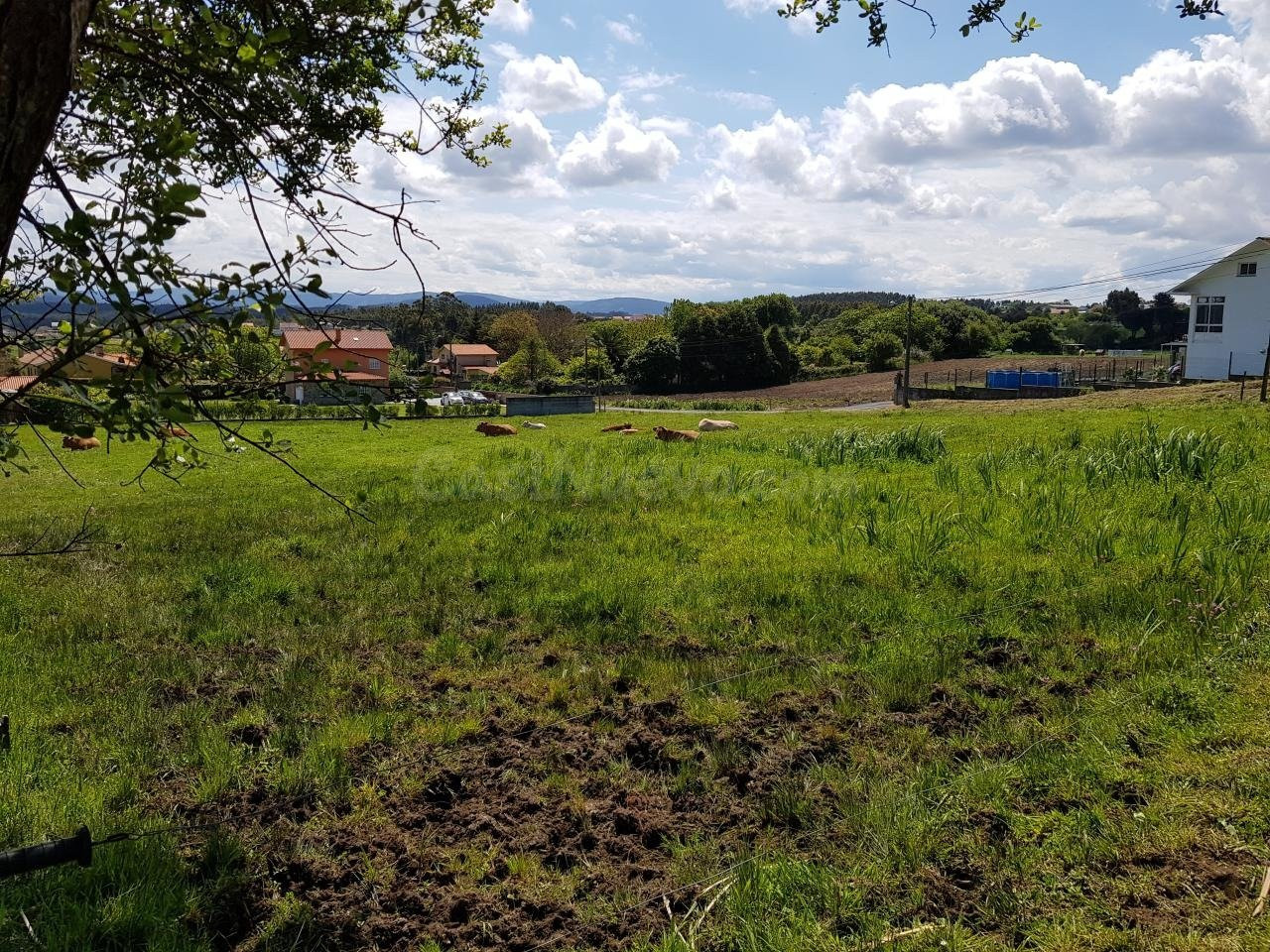 SE VENDE FINCA RÚSTICA EN CAMPELO, VALDOVIÑO
