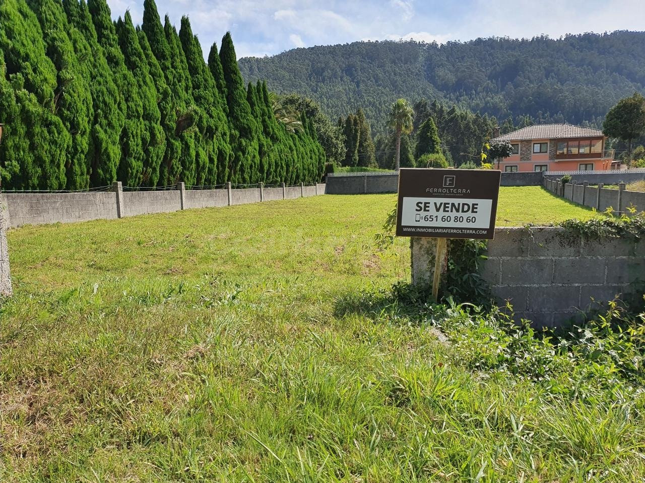 FINCA EDIFICABLE EN PRESA DEL REY, NARÓN
