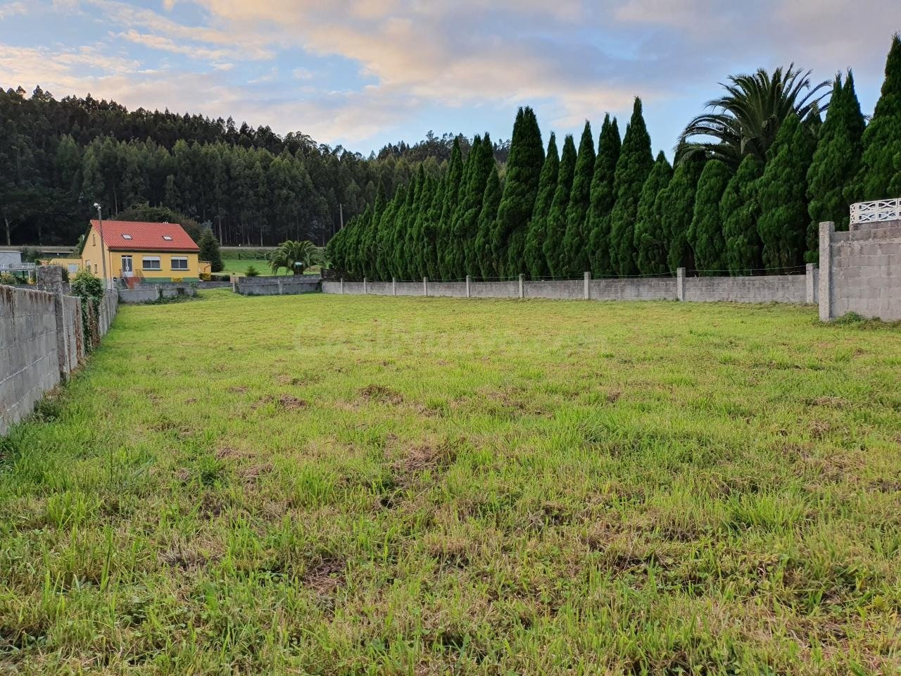 FINCA EDIFICABLE EN PRESA DEL REY, NARÓN - foto 4