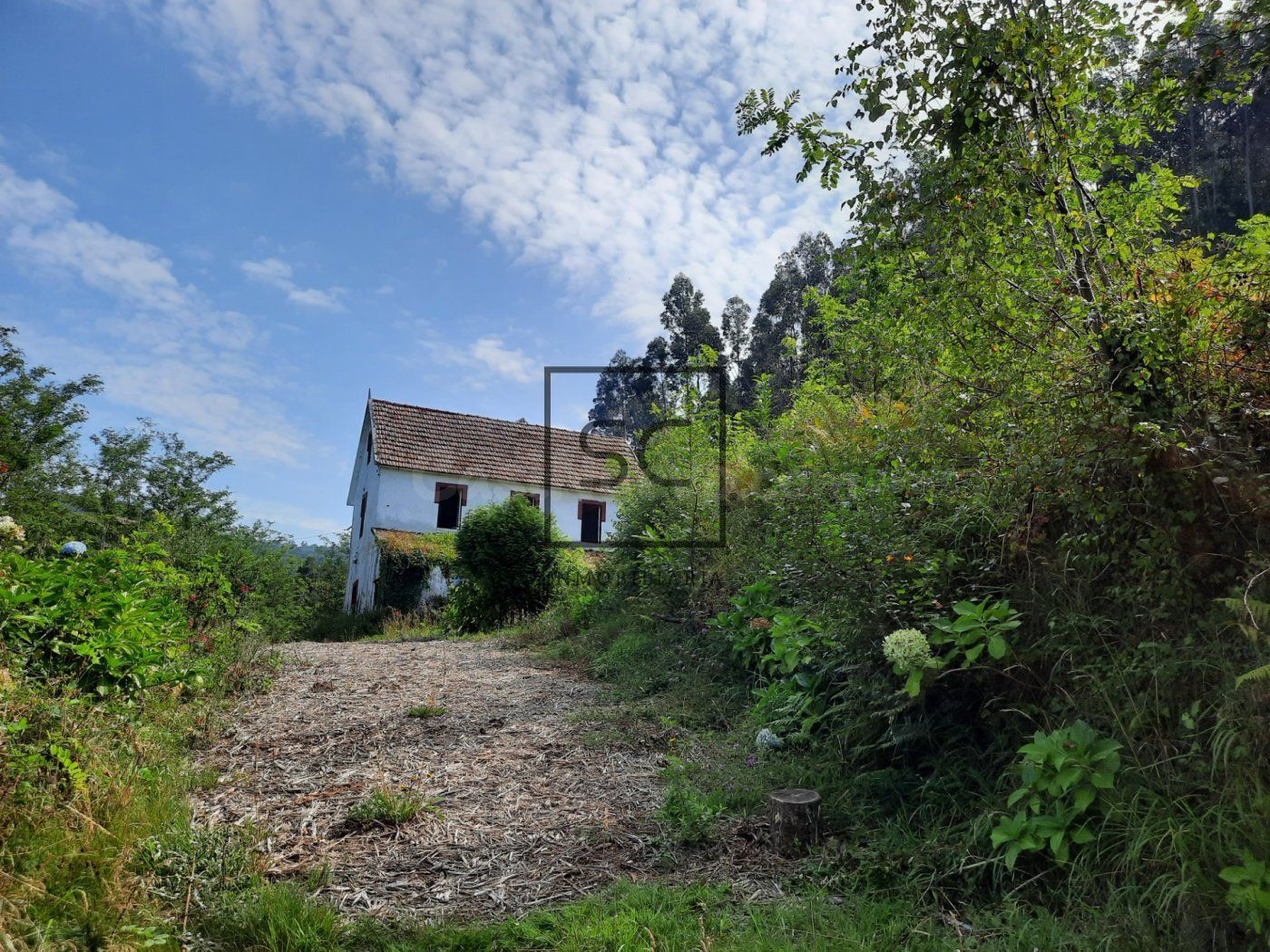 CASA PARA REFORMA INTEGRAL CON FINCA EN SEDES, NARÓN - foto 5